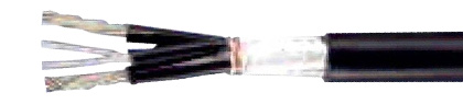 FLGG 2x4
